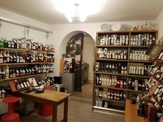 Enoteca Grado 12