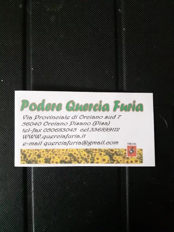 Quercia Furia