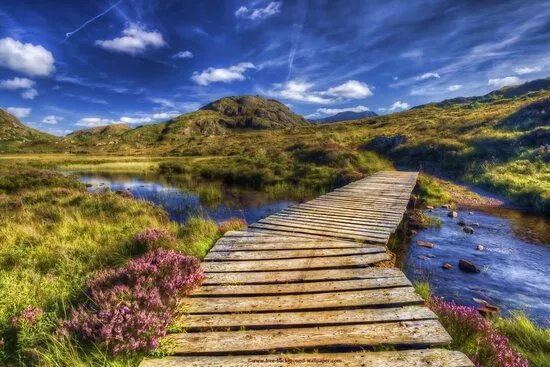 5 Star Highland Tours