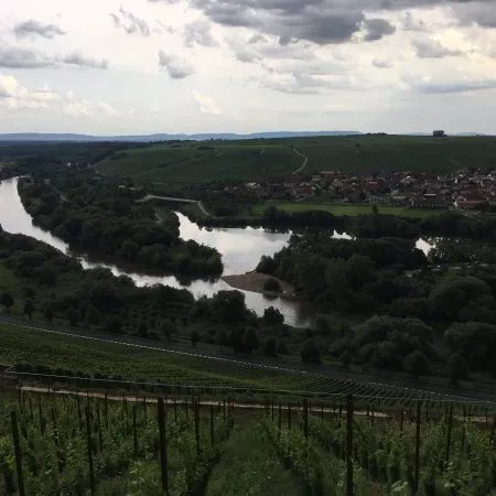 Weingut am Vogelein