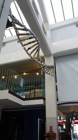 Museo Scientifico Explorazione