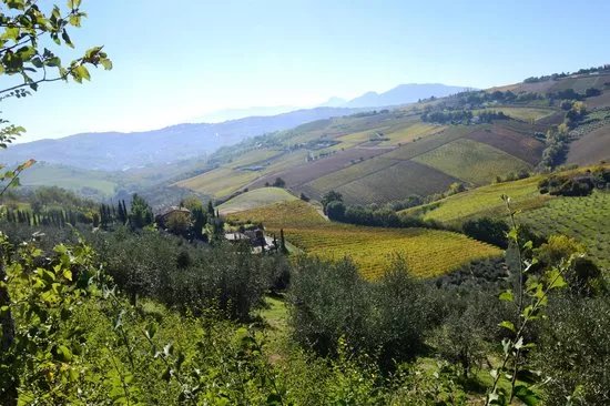 Azienda Agricola Biologica Fiorano