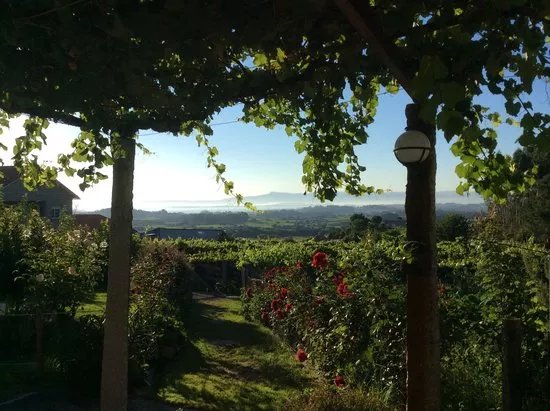 North West Iberia Wine Tours