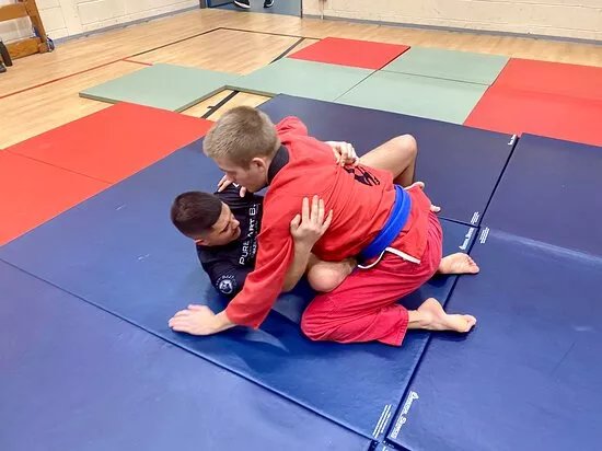 Pure Art BJJ Brazilian Jiu Jitsu / Martial Arts