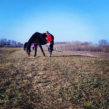 Konjicki centar Miklin