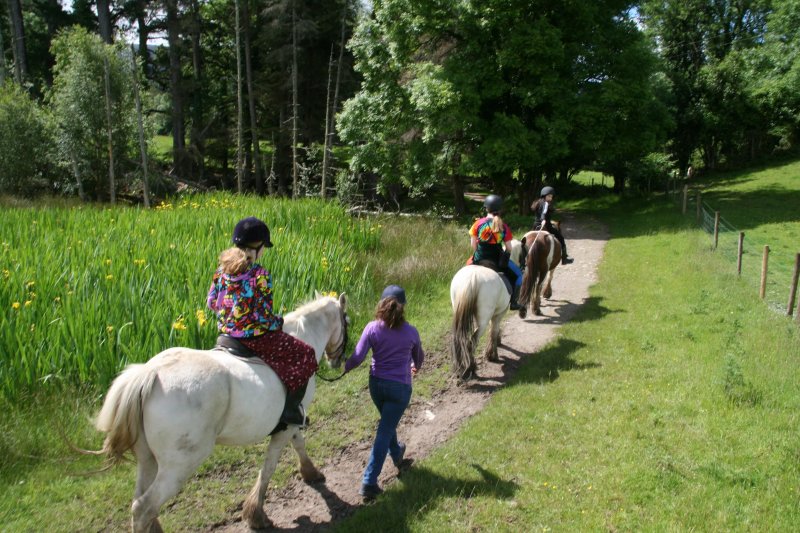 Muckross Horse Riding Centre