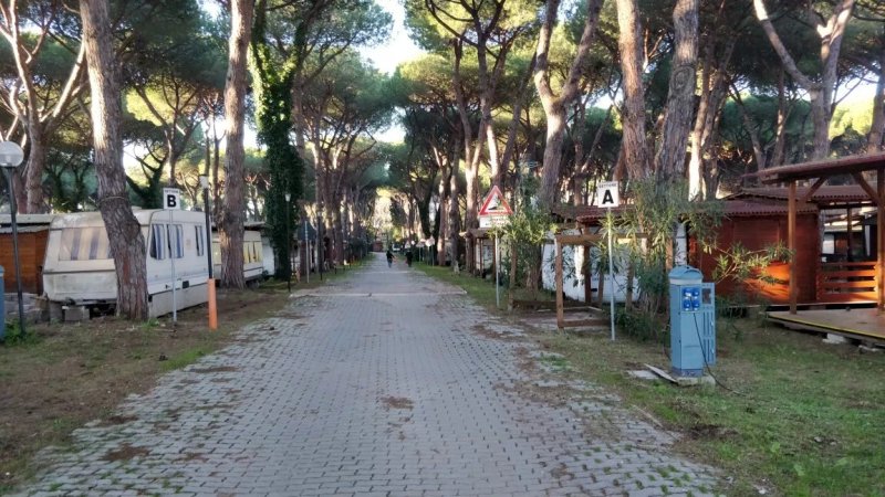 Camping Internazionale Club Campeggiatori Romani