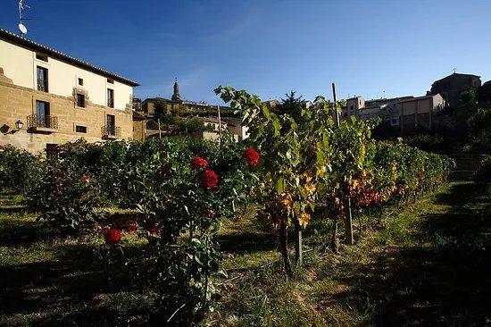 Miguel Merino Winery
