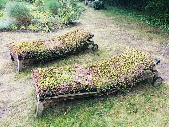 Hortus Nijmegen Botanische Tuin en Theetuin