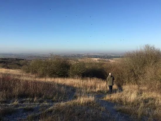 Watlington Hill