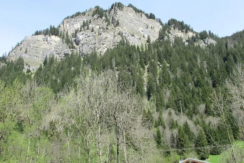 Rental in Châtel apartment 2-5 people near linga gondola.