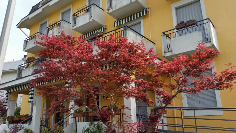 Albergo Soggiorno Le Colline