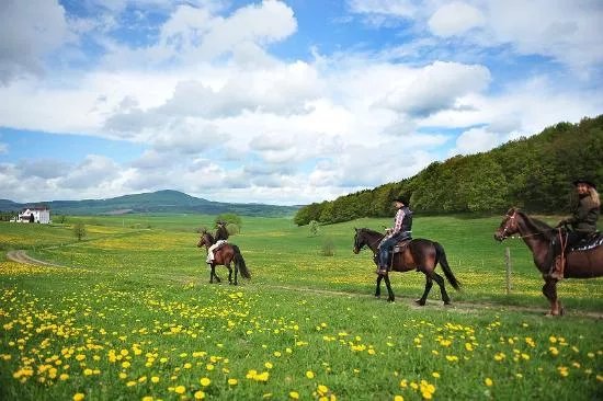Stockborn Ranch - Westernreiten in der Rhon