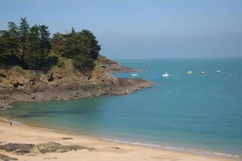 Ajonc, Bord DE MER ET Cote Sauvage