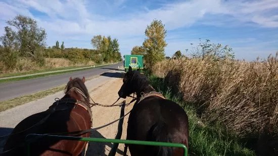 Pferdewagenfahrten Vinzenz Gangl Private Tours
