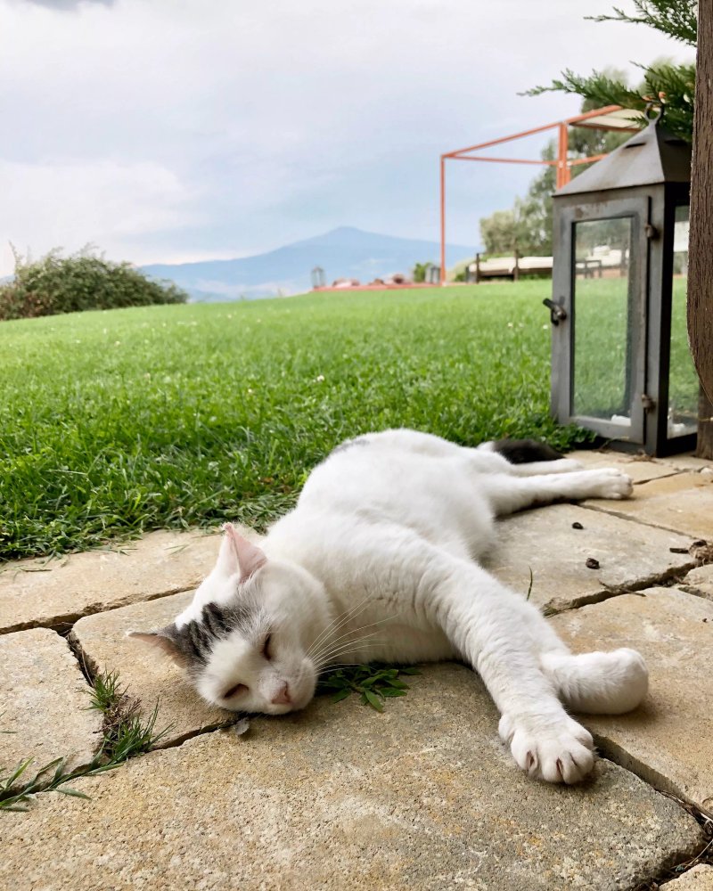 Agriturismo La Bandita