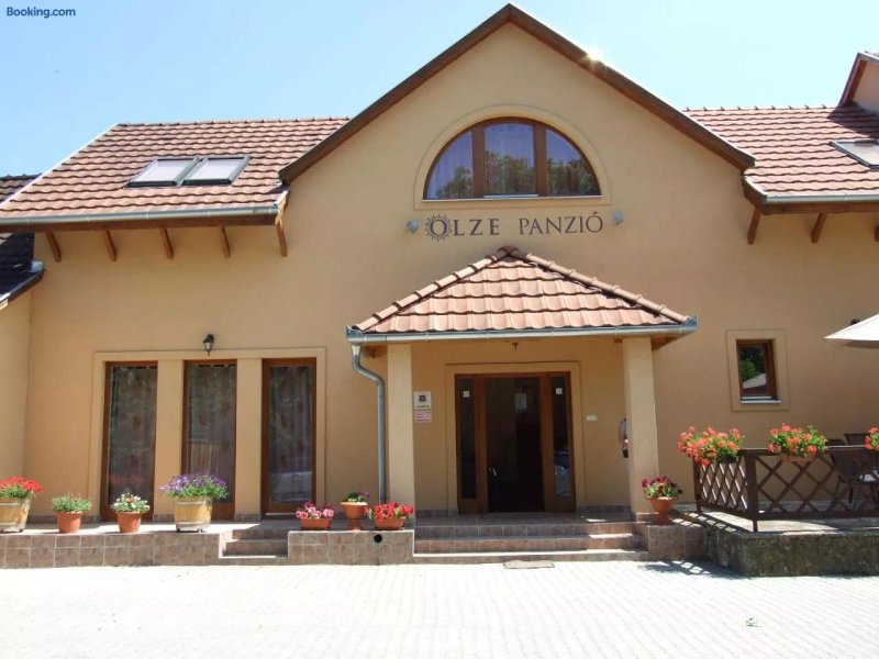 Olze Panzio