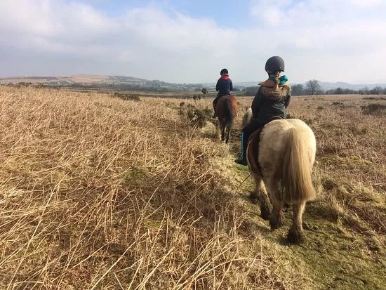 Bryngwyn Riding Centre