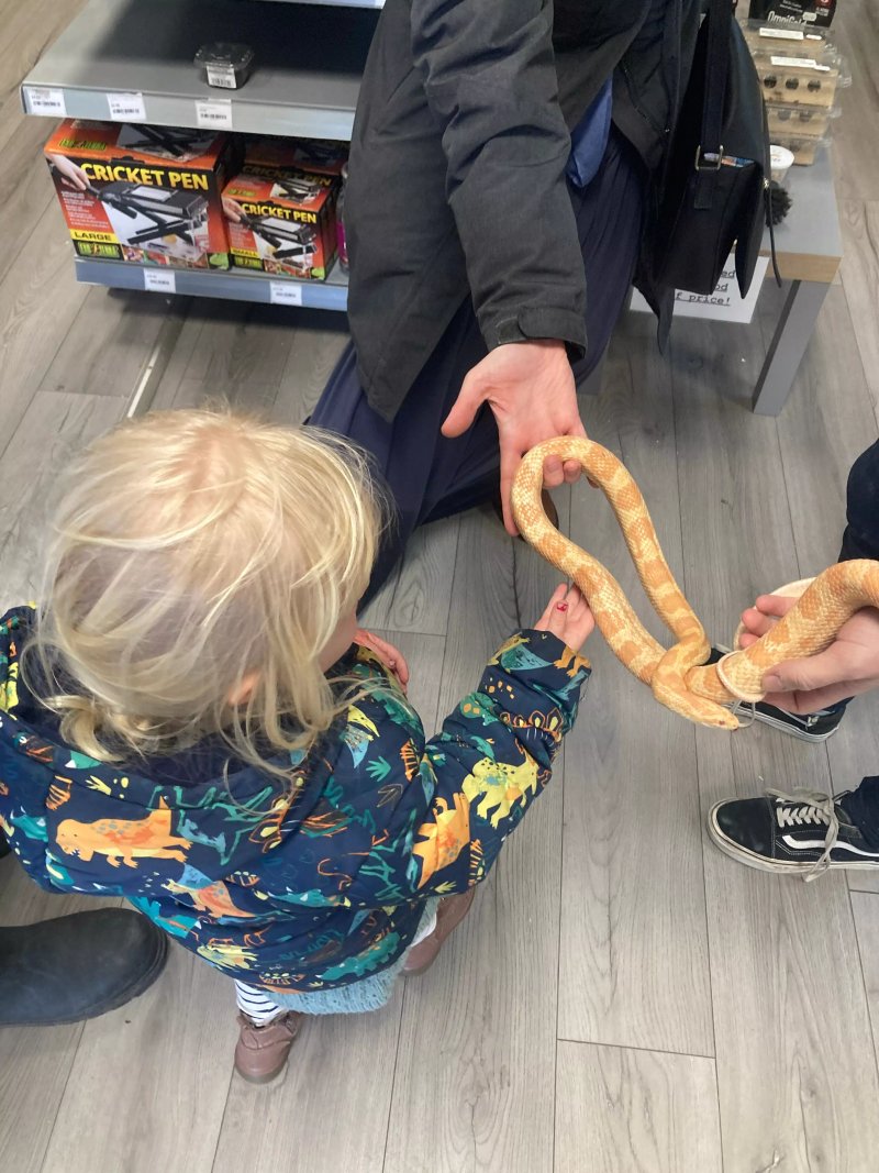 Reptilia Reptile Rescue