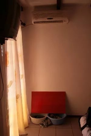 Muses Rooms