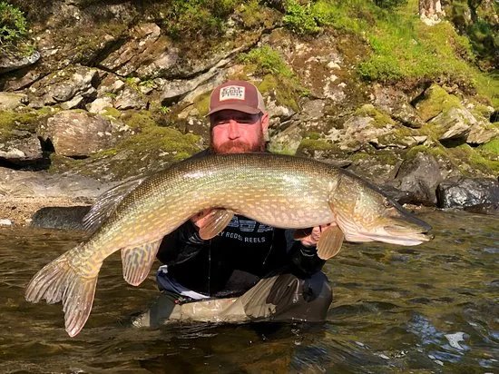 FishX
