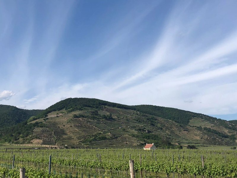 Winzerhof Leonhartsberger
