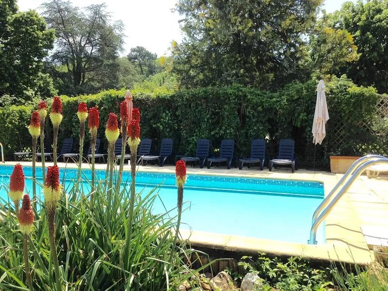 Les Papillons 4/6, Pool, Balcony, Garden & Courtyard, Top Location & Activities