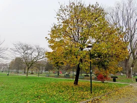 Parco Giovannino Guareschi