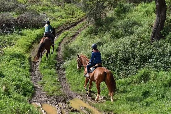 Lagos Horse Riding & Rescue Centre