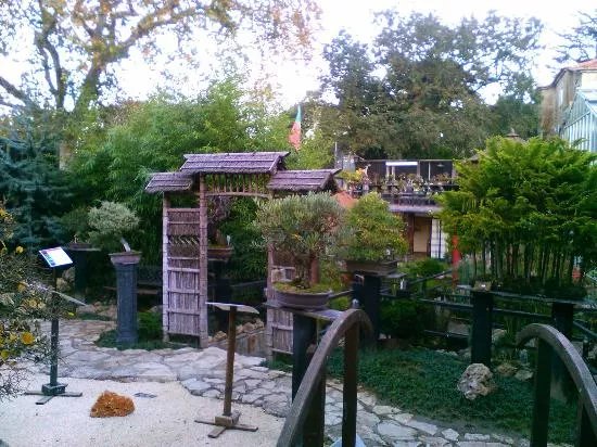 Museu do Bonsai