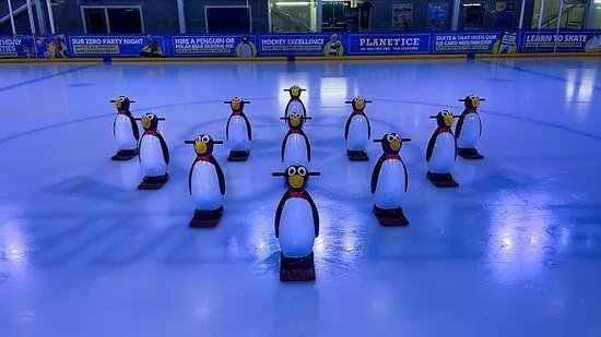 Planet Ice Bristol