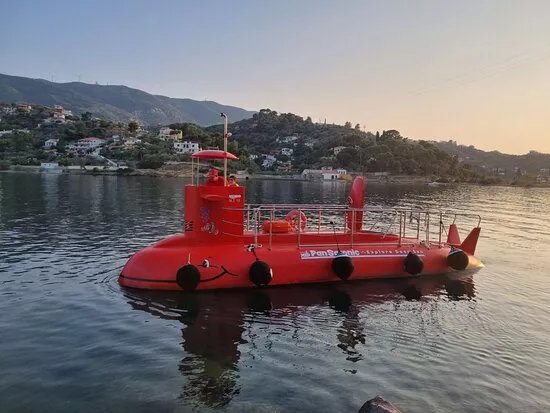 Pansaronic