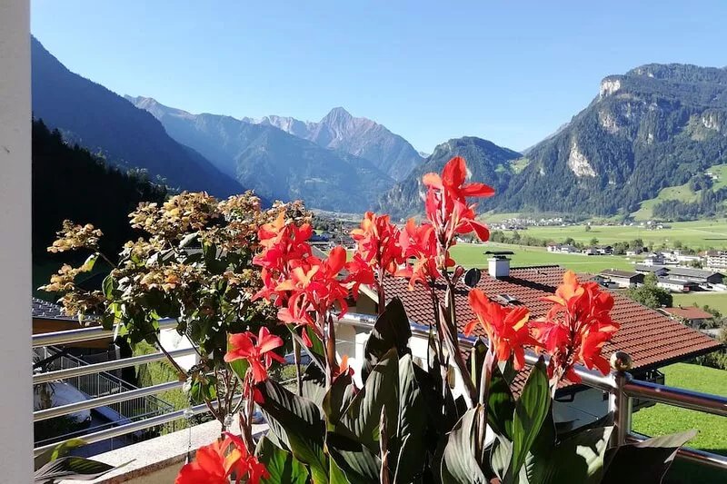 Family friendly apartment with garden / grill, infrared cabin, sunny and central