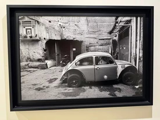 Mcd Gallery