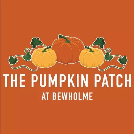 The Pumpkin Patch At Bewholme