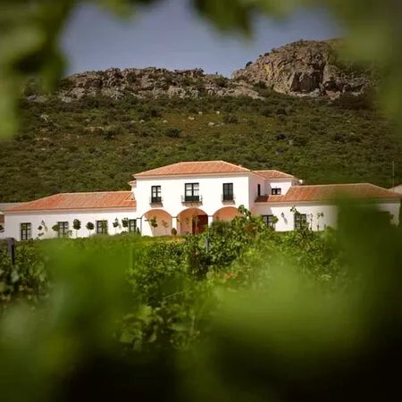 Valdealto Winery