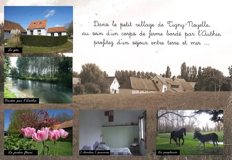 "Ferme De Tigny" - Berck-sur-Mer - COTE D'OPALE - Sea, River Animals ...