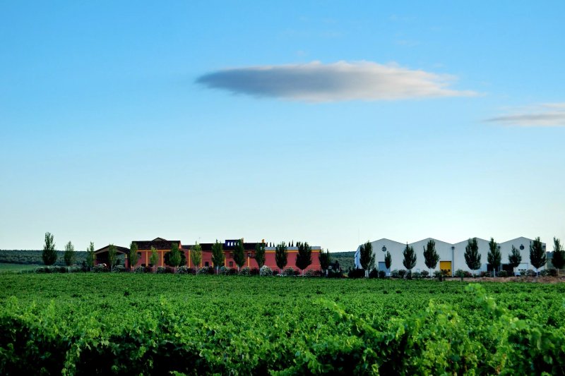 Bodegas Malaga Virgen