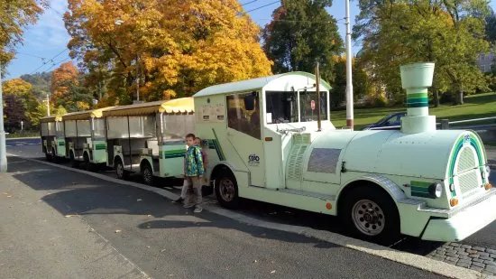 Tourist Mini Train