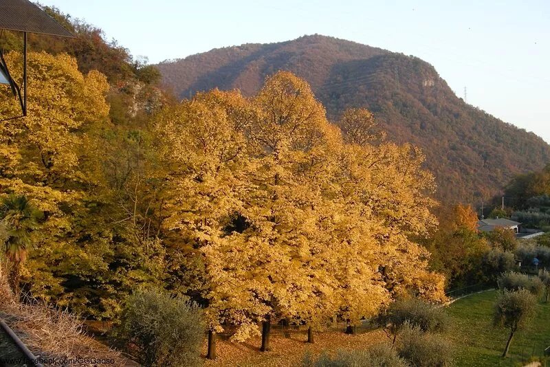An ideal place for families, walkers and cyclists. Just mins from Roè & Salò