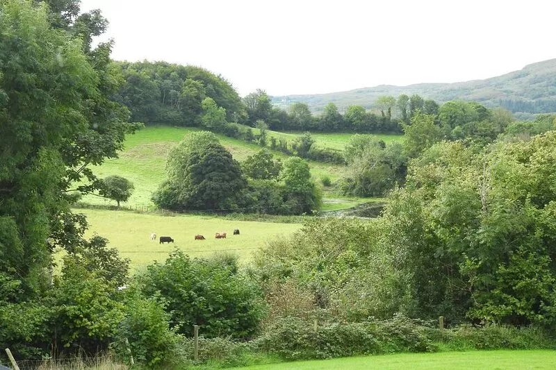 Peaceful, Scenic Family Home