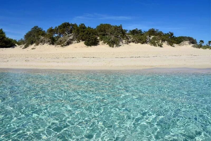 Spacious villa,huge private pool,close to Ostuni , Carovigno and the Sea