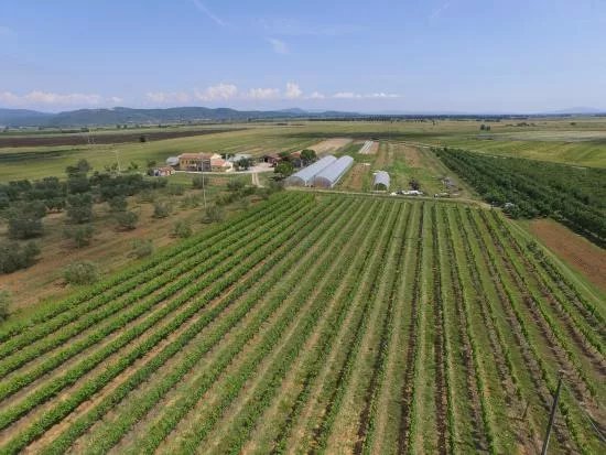 Azienda Agricola La Magia