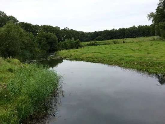 Natuurgebied Beekvliet