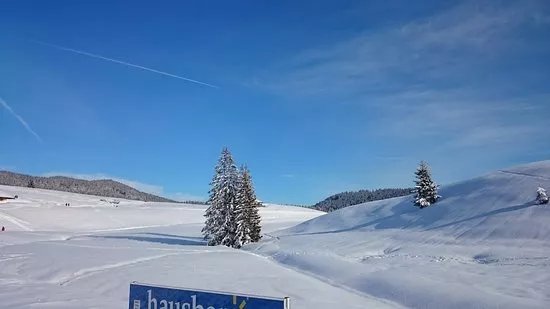 Skigebiet Winklmoosalm - Steinplatte