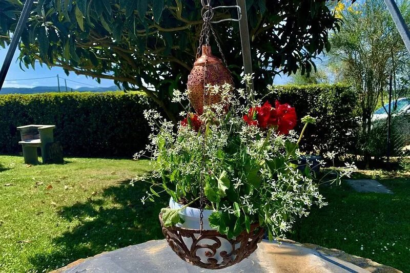 Charming apt. with pool in a wine estate. Free WIFI, Free veg garden, free wine