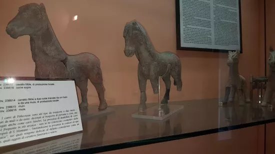 Museo Angelo Rizzoli