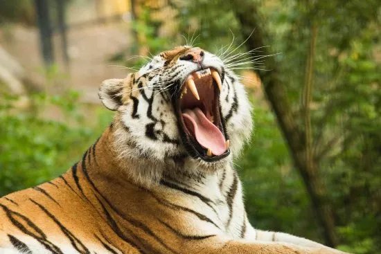 ZOO Ljubljana