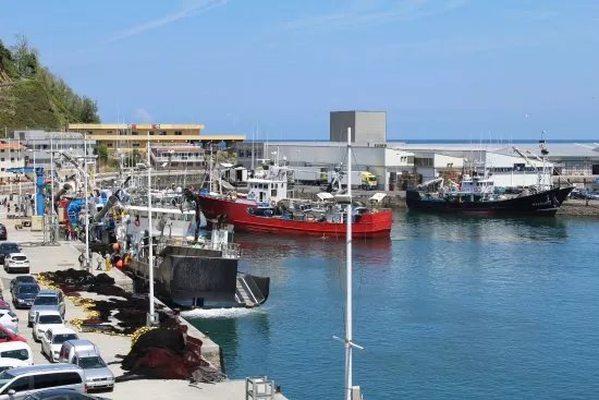 Getaria Fishing Port