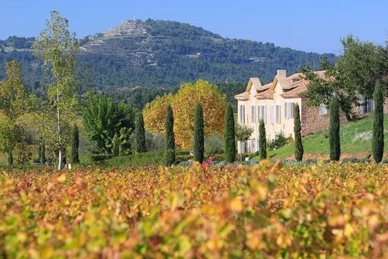 Chateau Paradis